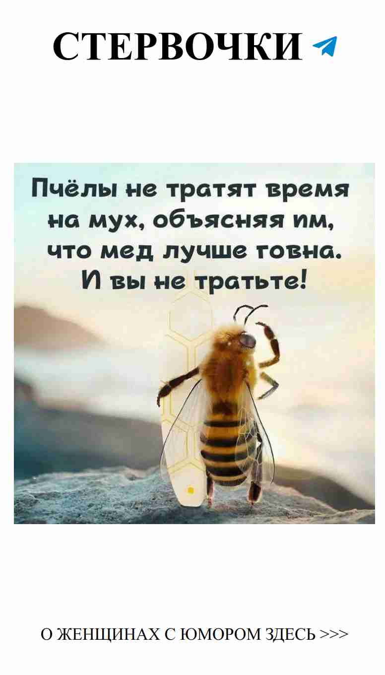 Любовь как пчела: сладка, но осторожна в выборе камня