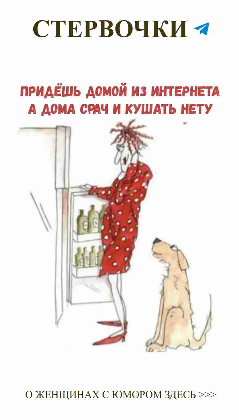 Любовь, собаки и холодильники: как не смешно провести вечер