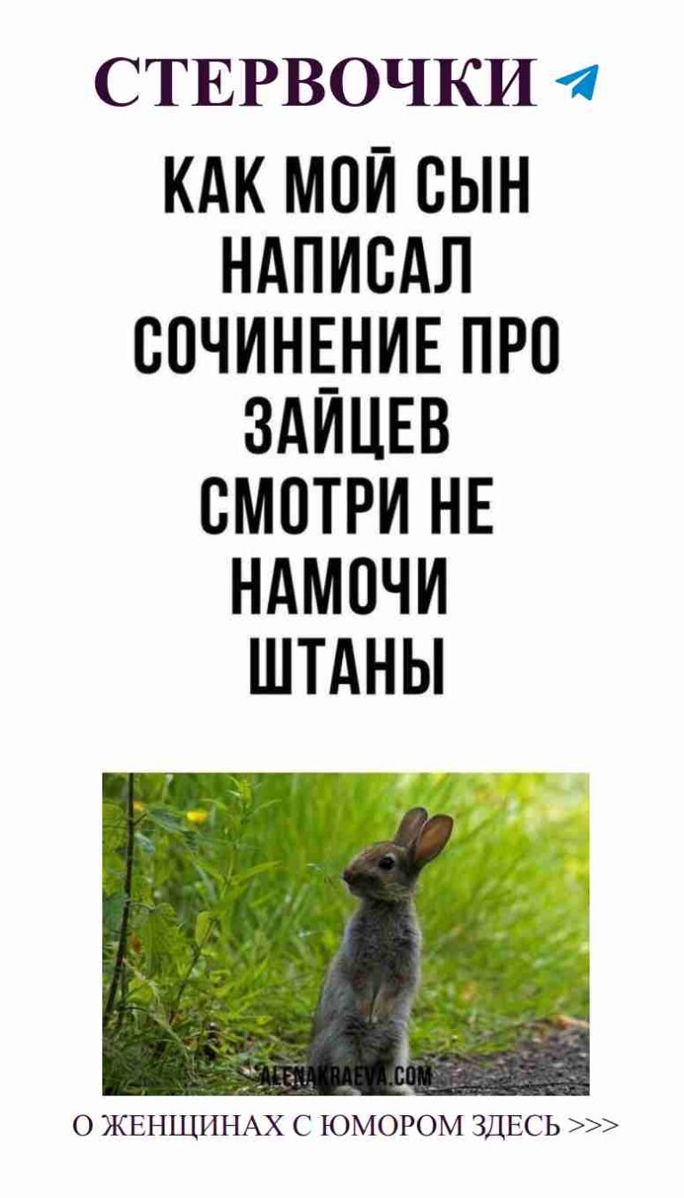 Как важно быть вежливой даже с зайцами