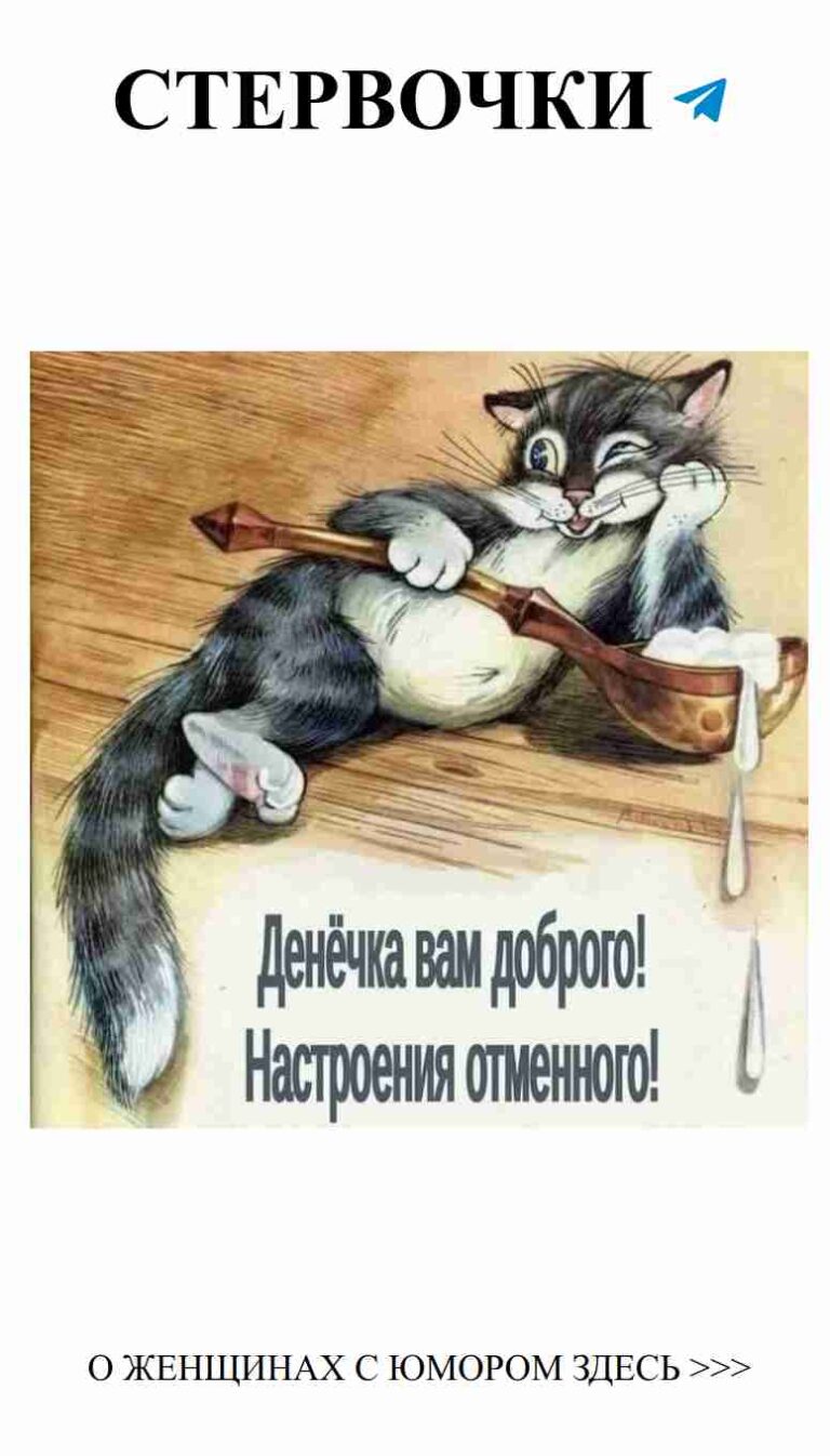 Кот с бейсбольной битой: любовь и юмор на утро