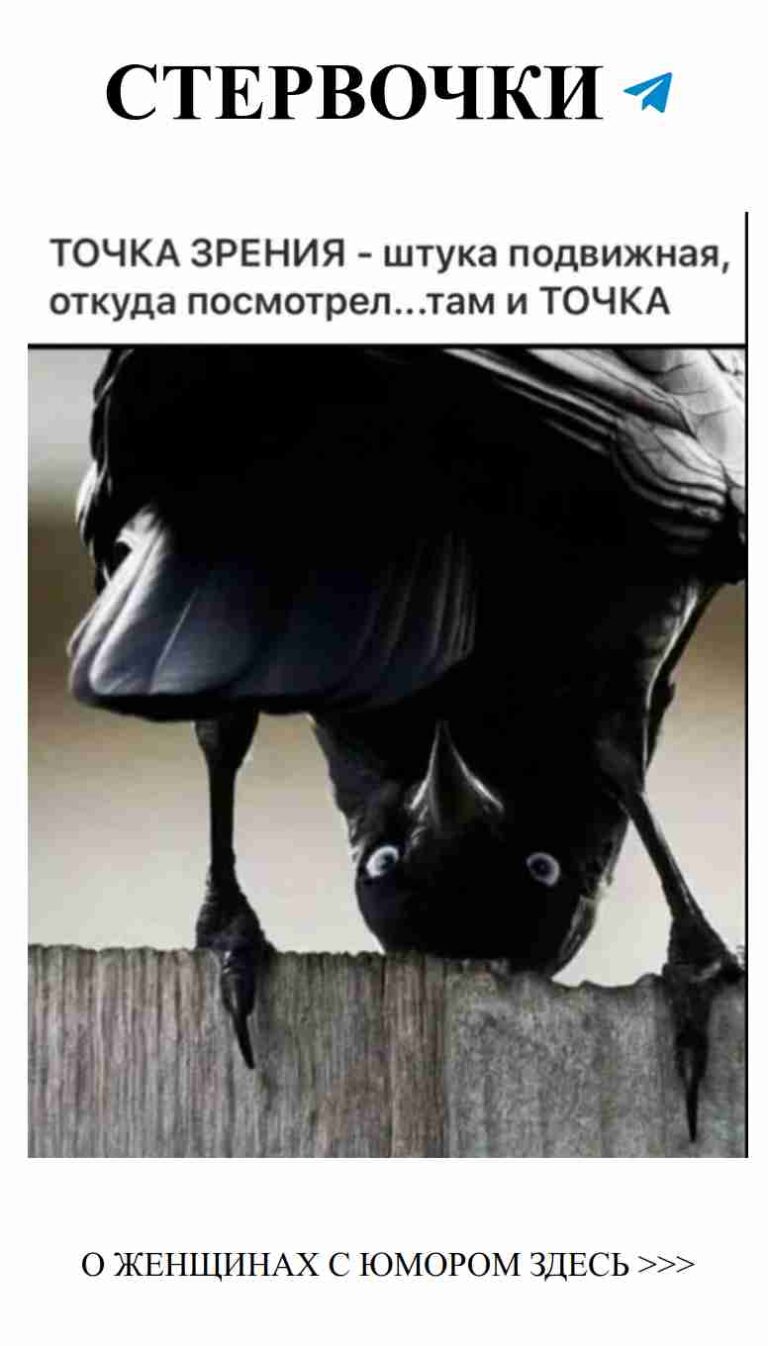 Черная птица на заборе: любовные испытания с юмором