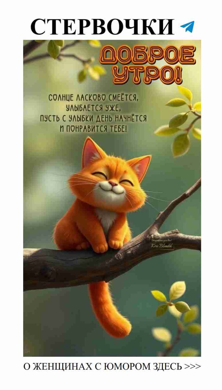 Как коты учат нас любви и терпению