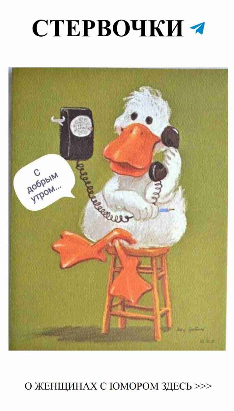 Утренний разговор с уткой о любви и веселье