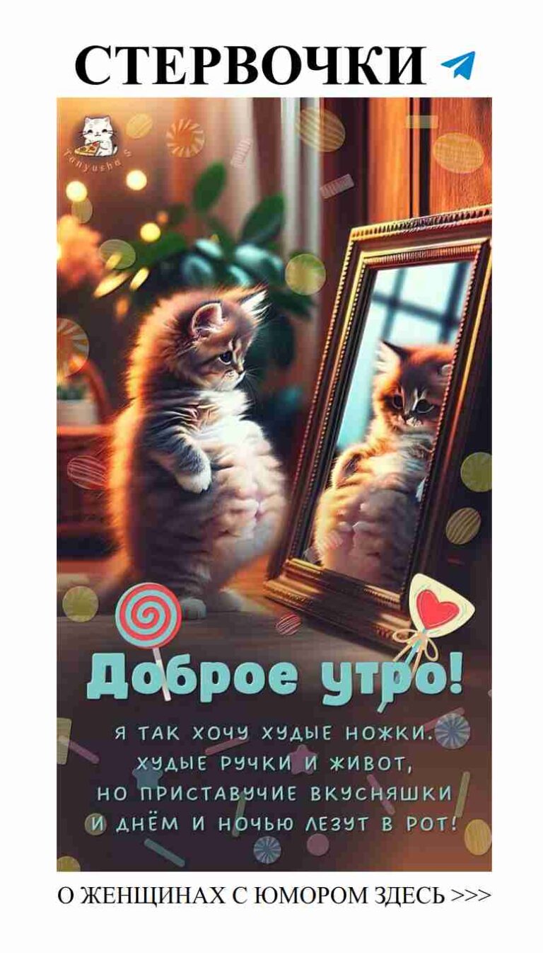 Люблю себя, как кот себя в зеркале