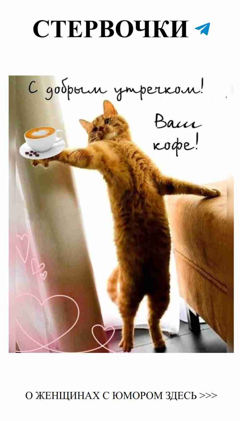 Смешные истории о любви, которые заставят вас улыбнуться