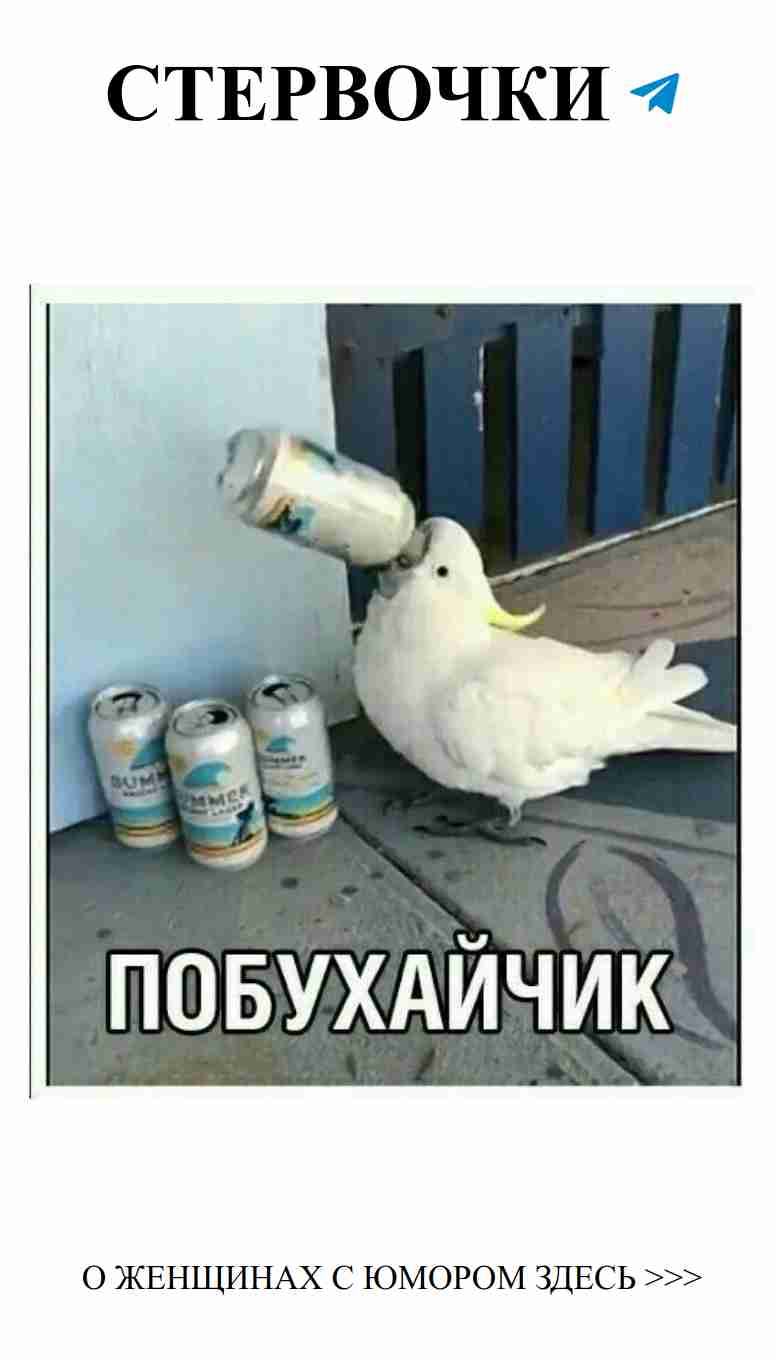 Любовь и смех: как не потерять юмор в отношениях