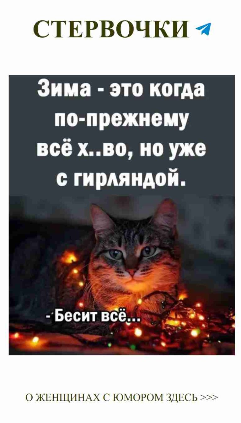 Кот с огоньками: как подарить улыбку на Новый год