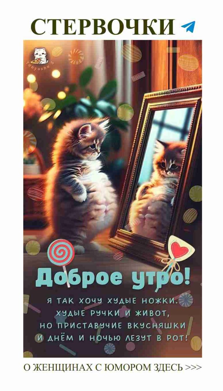 Любовь к себе: утренний момент с кошкой и зеркалом