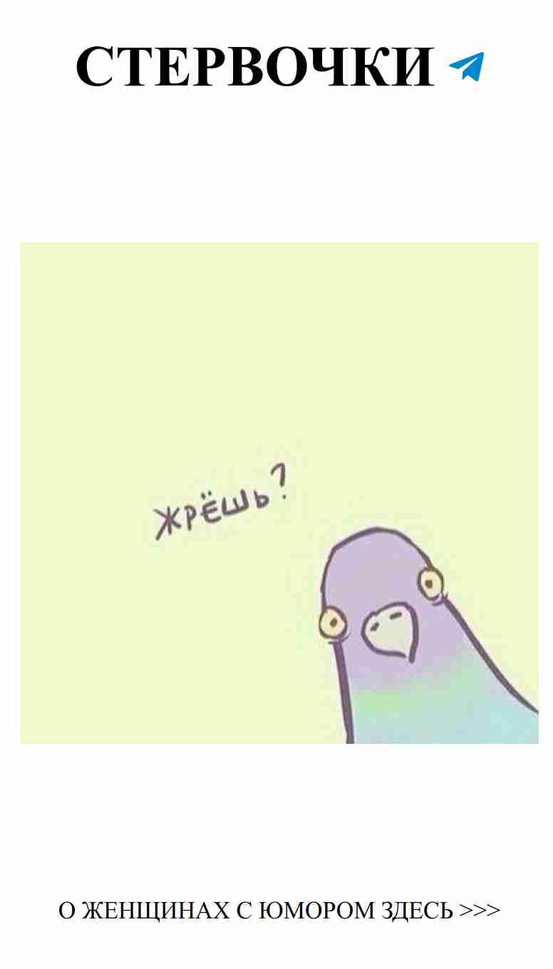 Птица на стене: любовь и стиль для женской души