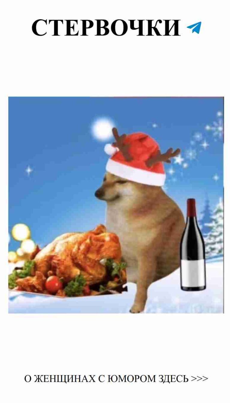 Санта пёс и вино: идеальное воплощение новогоднего юмора