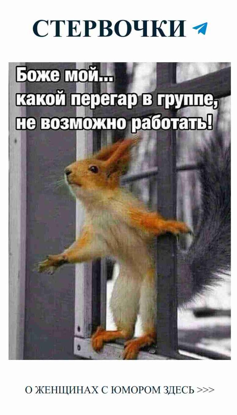 Улыбнись и страдай от любви с милой белкой