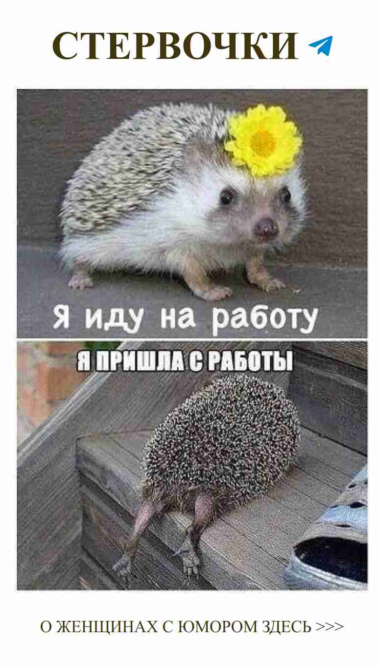 Жизнь с любимым: когда смех важнее слов о любви