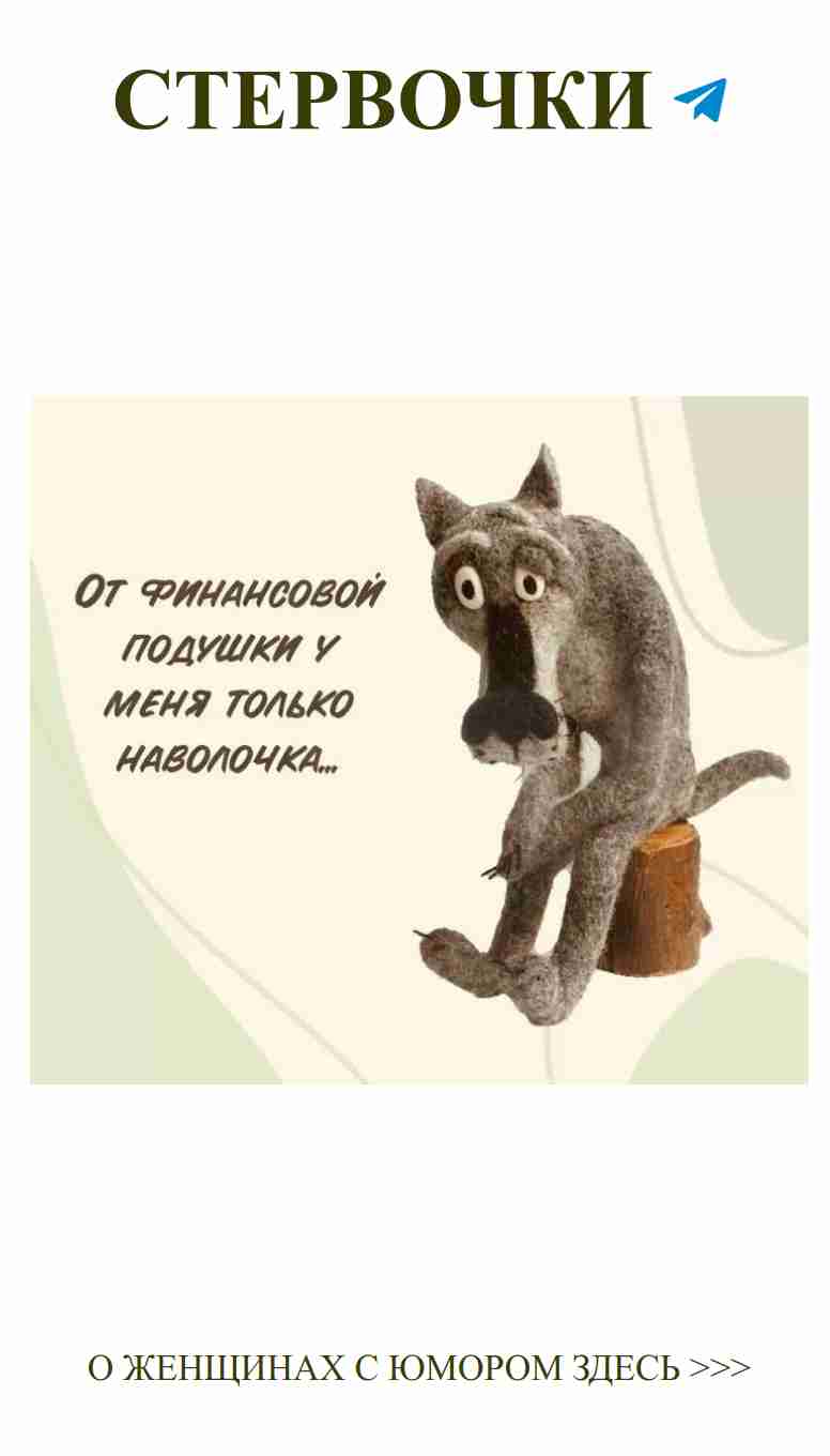 Кошка на пне с надписью о любви и женском юморе