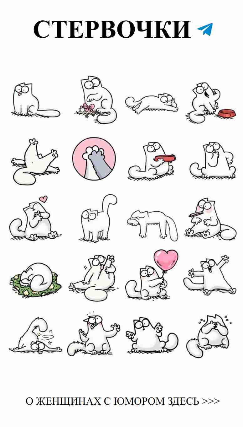 Любовь в сердце: смешные котики о любви и дружбе