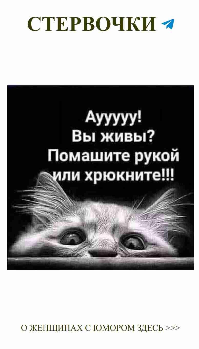 Смешное поздравление с днем рождения о любви и котах