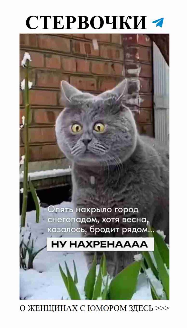 Любовь глазами женщины: юмор в каждом взгляде