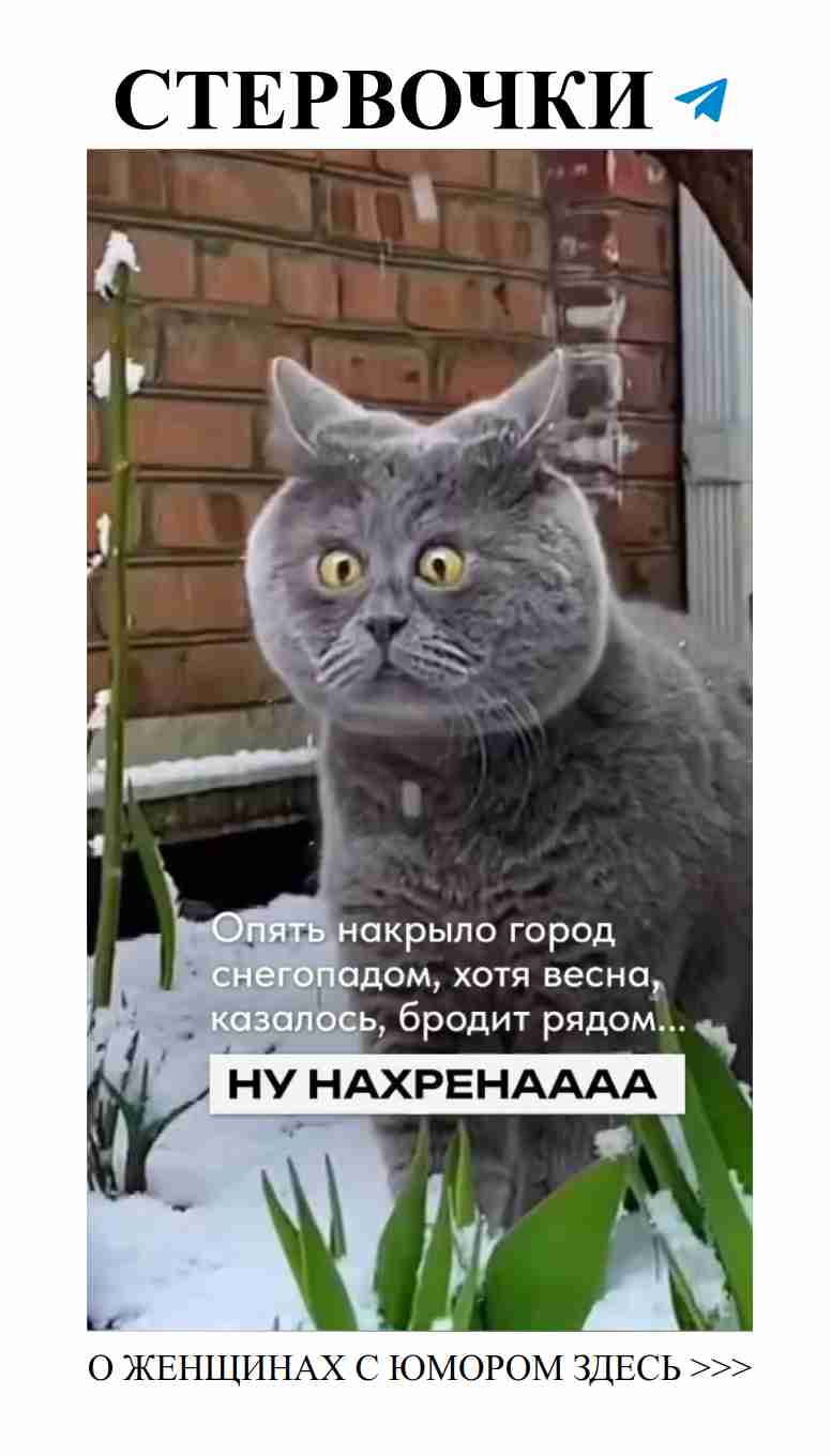 Любовь глазами женщины: юмор в каждом взгляде