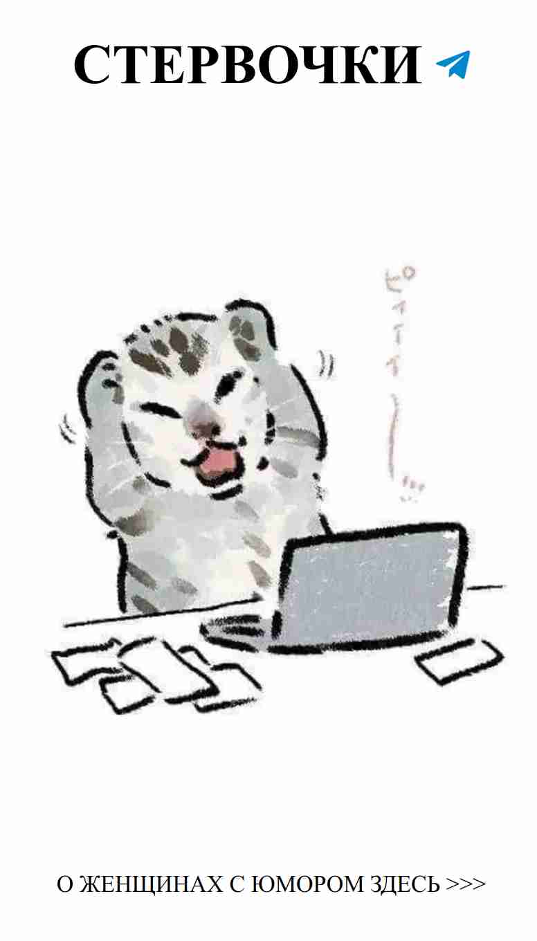 Когда кот за компьютером влюбляется в свои гифки