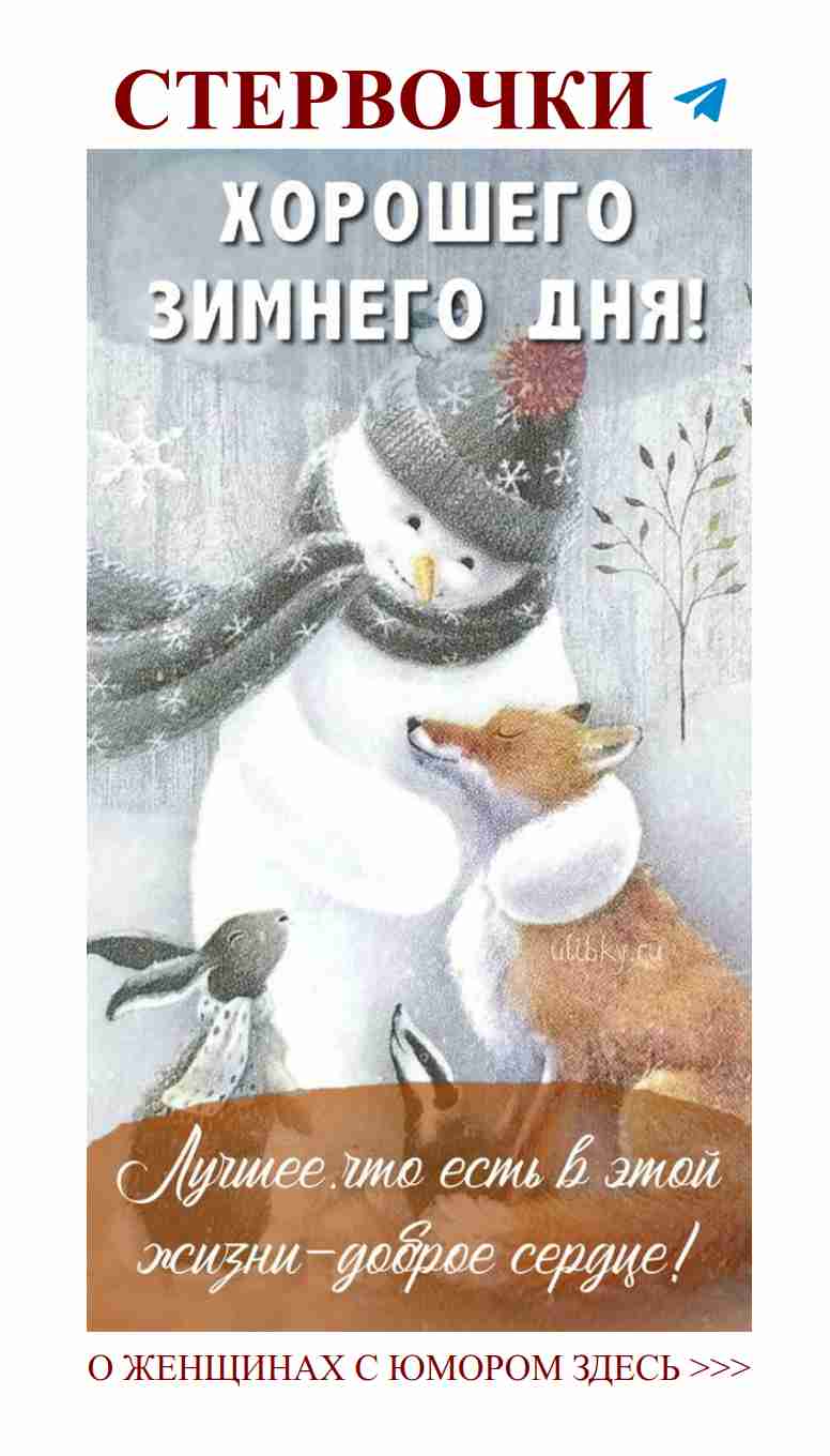 Снегирь, снеговик и любовь: смешные моменты Рождества