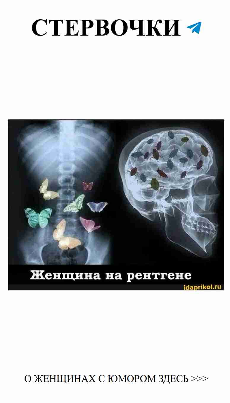 Когда любовь встречается с юмором: прогулка с бабочками