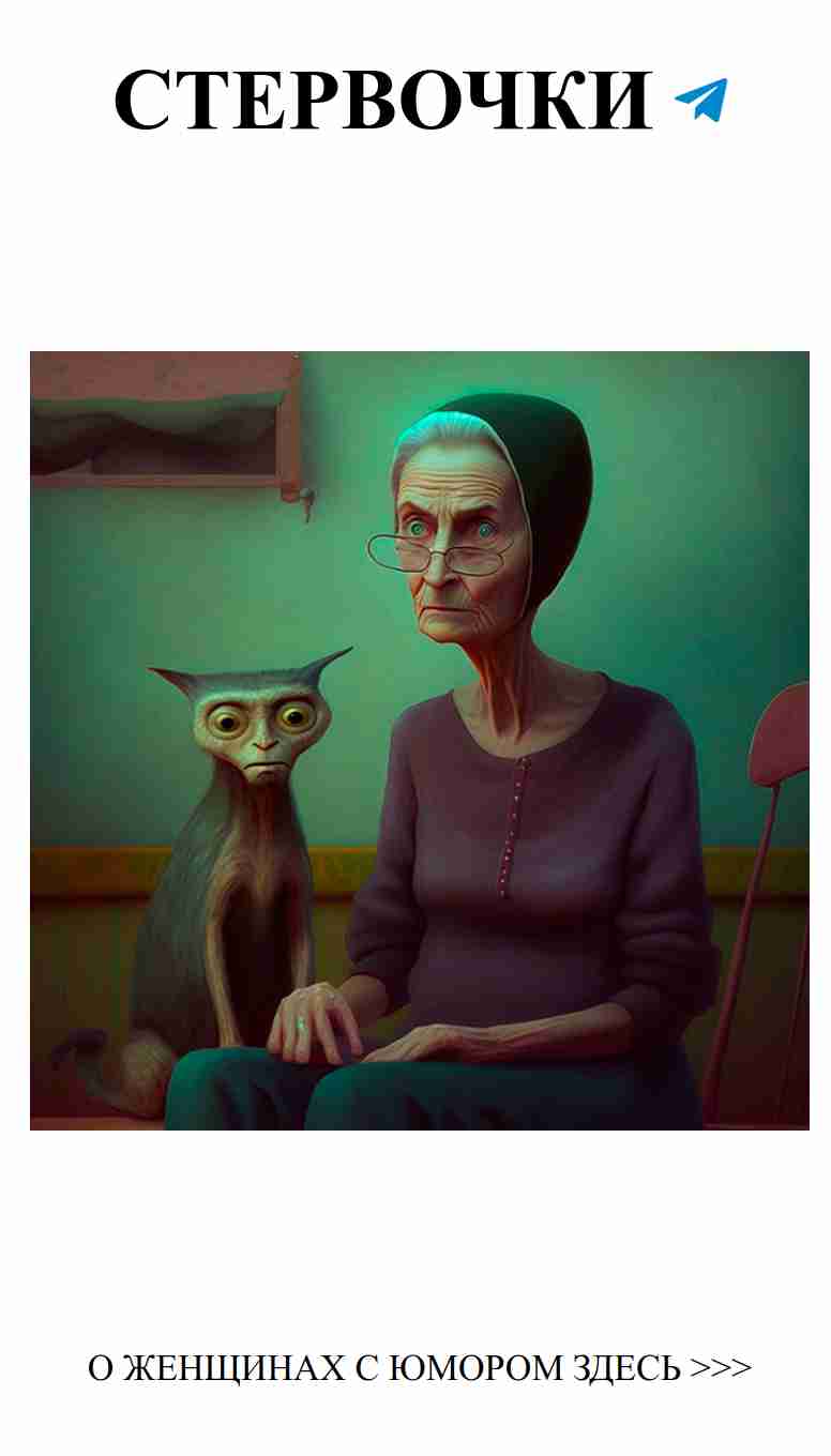 Старушка и кот: юмор о любви и жизни