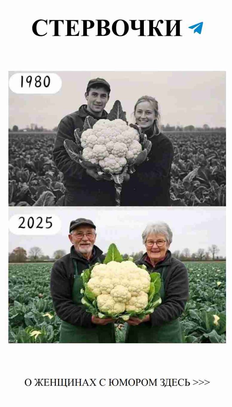 Любовь и юмор: вместе через все этапы жизни