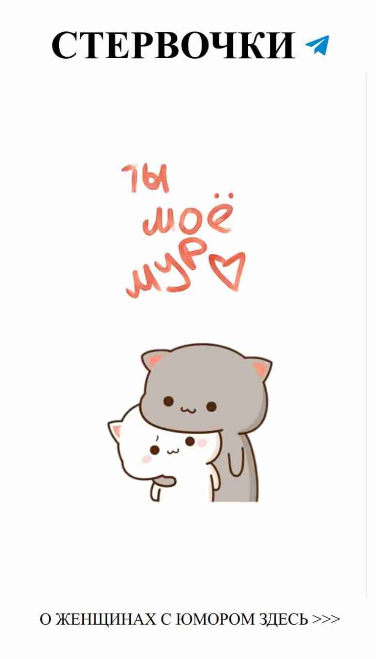 Когда любовь переполняет, даже звери обнимаются